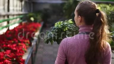 在花店或温室里，一位身穿围裙扎着马尾辫的年轻女花店在一排排花丛中漫步